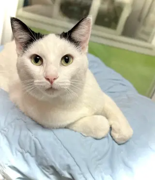 Ezra