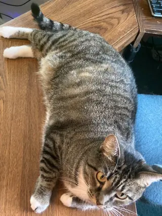 Lumpy