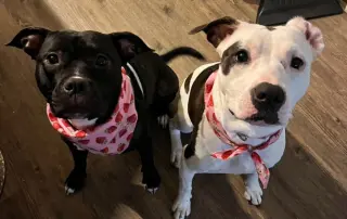 Stella & Lucy