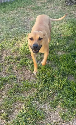 Lola
