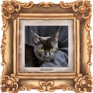 Jackson (w/Gemma)