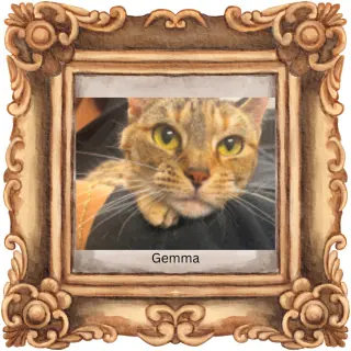 Gemma (w/Jackson)