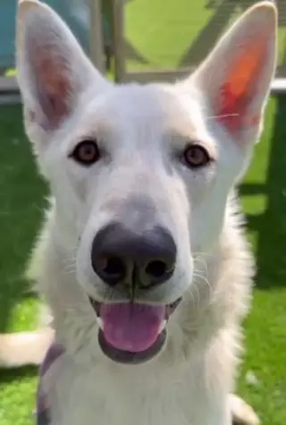 Caspar aka "Cassie"