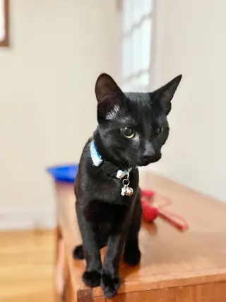 Daisy Jane