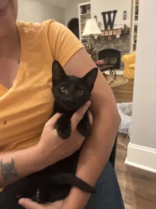 Daisy Jane