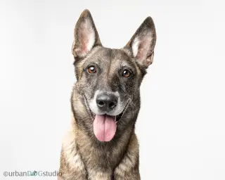 Maggie May - Located in Florida