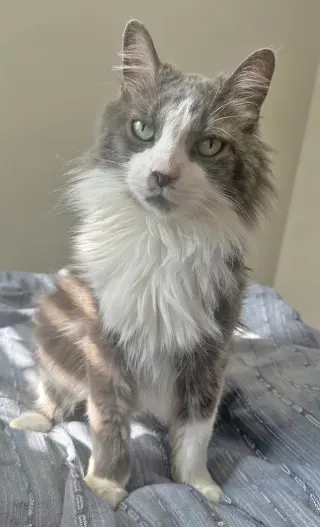 Millie