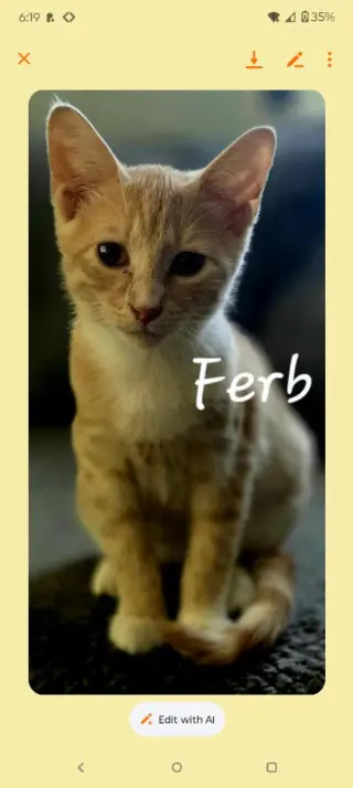 Ferb