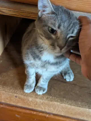 Erica bonded with Simon