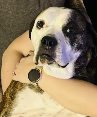 Amos