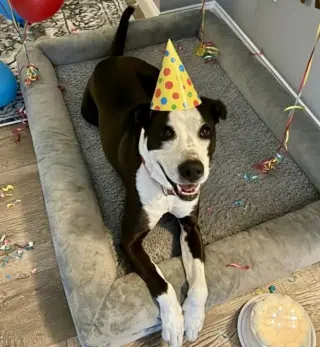 Pete