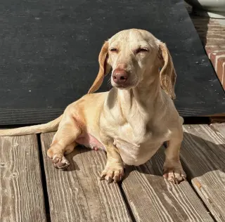 Luna in KY