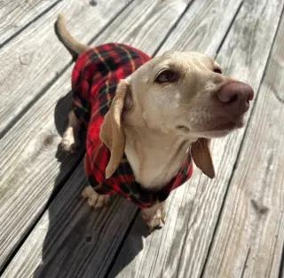 Luna in KY