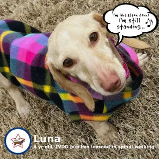 Luna in KY