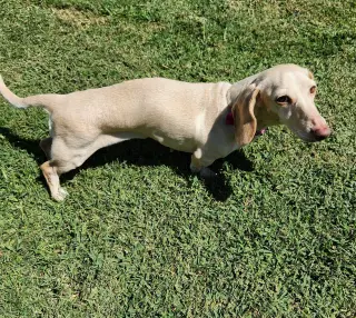 Luna in KY