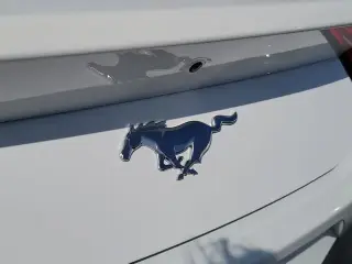 Ford Mustang 2024 EcoBoost 2dr Fastback