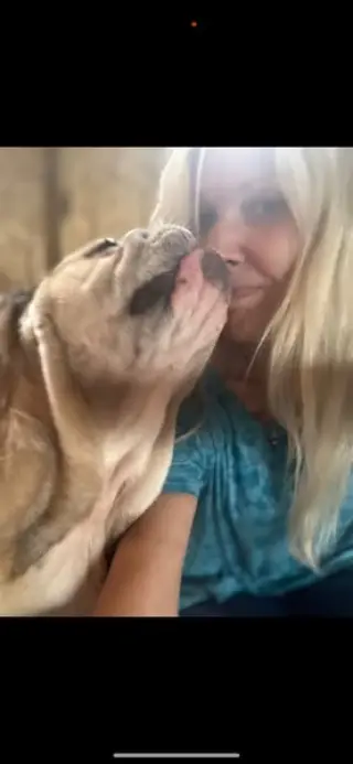 Sweet Potato