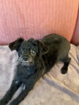 Mike Jul 25 - In Foster in Raleigh, NC