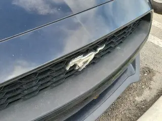 Ford Mustang 2019 EcoBoost 2dr Fastback