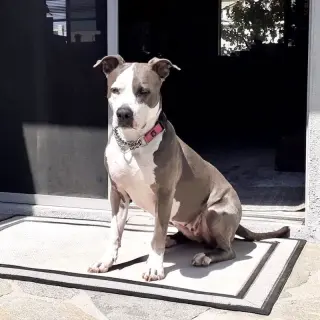 Peggy