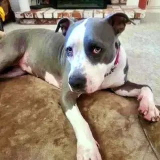 Peggy
