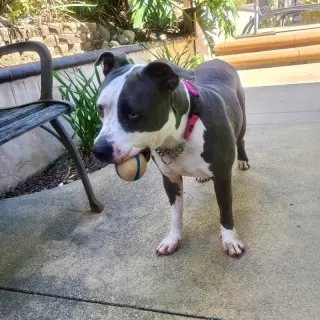 Peggy