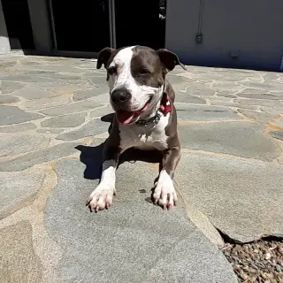 Peggy
