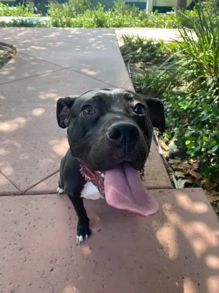 Lucy