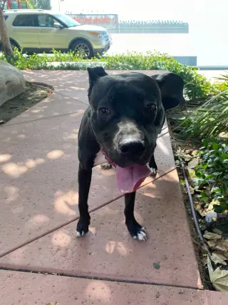 Lucy