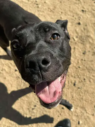 Lucy