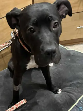 Lucy