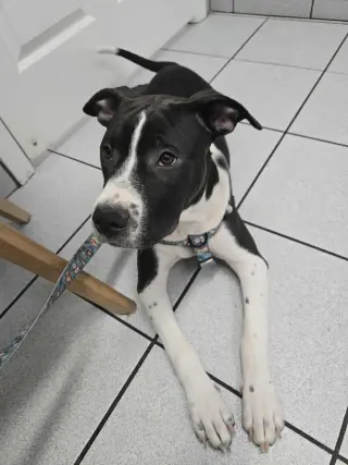 Jax