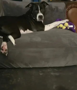 Jax