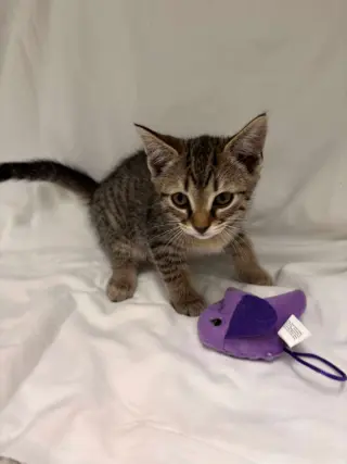 Ellie: Not at shelter (Catherine)