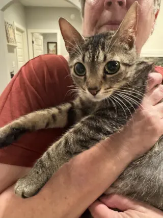 Lily