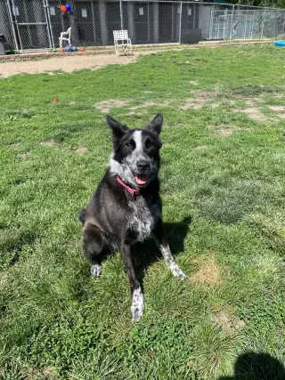 Abby- for sponsorship only