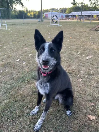 Abby- for sponsorship only