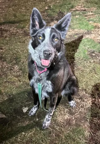 Abby- for sponsorship only