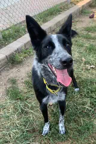 Abby- for sponsorship only