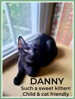 Danny, Willow Grove PA Area (FCID 06/09/2025-151)