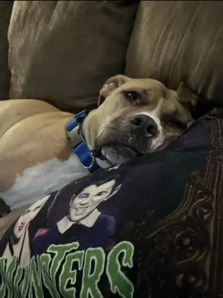 Leela