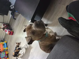 Zeus