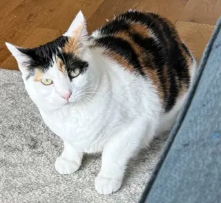 Reese Whiskerspoon