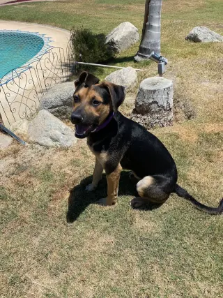 MARVIN