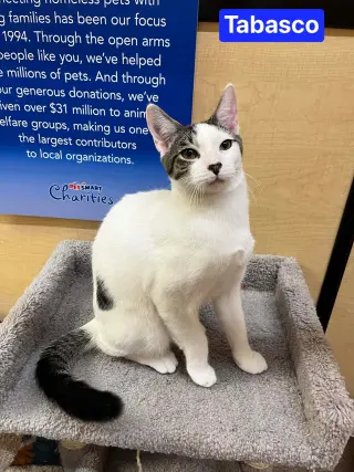 Tabasco