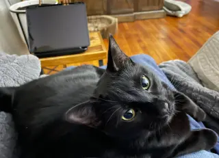 Pip