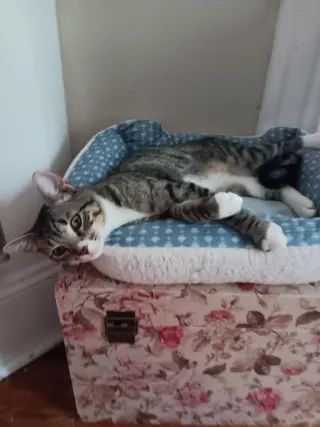 Sid