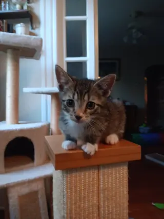 Sid