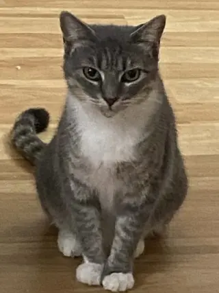Meredith