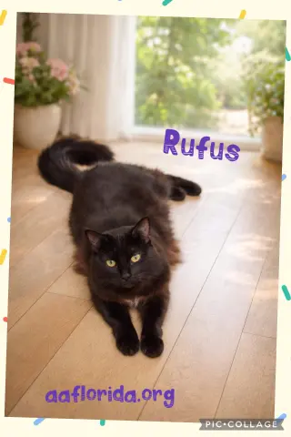 Rufus & Rasberry